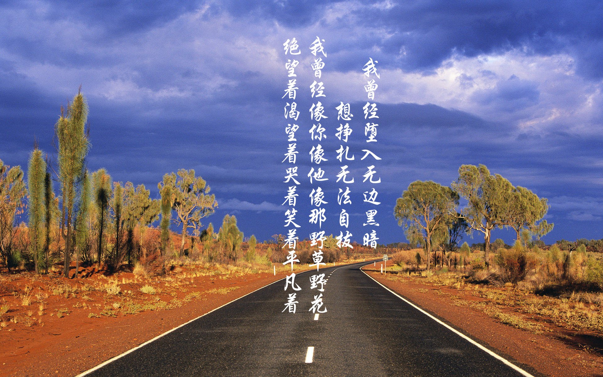 加拿大队的全员协作:国际乒联混合团体世界杯的完美配合,加拿大乒乓球外援