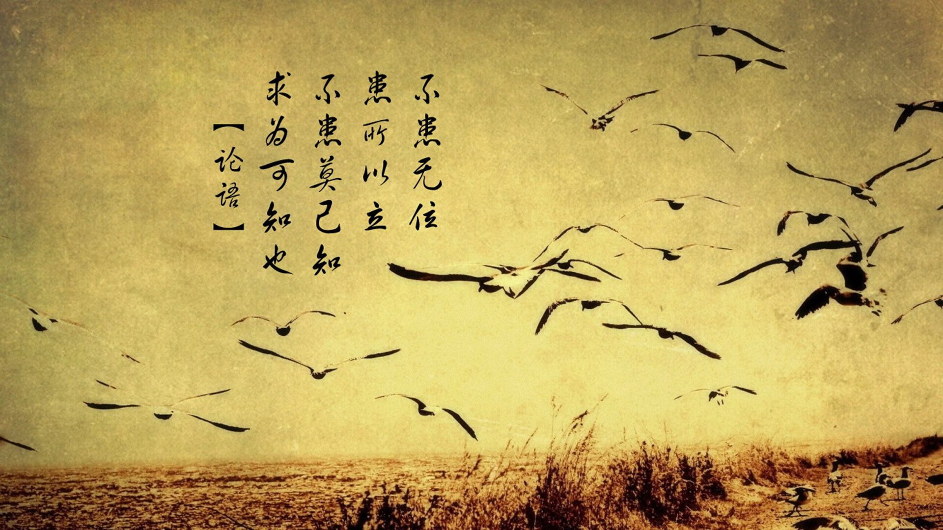 星空体育全站-球员平均年龄约23.5岁，年轻阵容为主，足球球员平均年龄