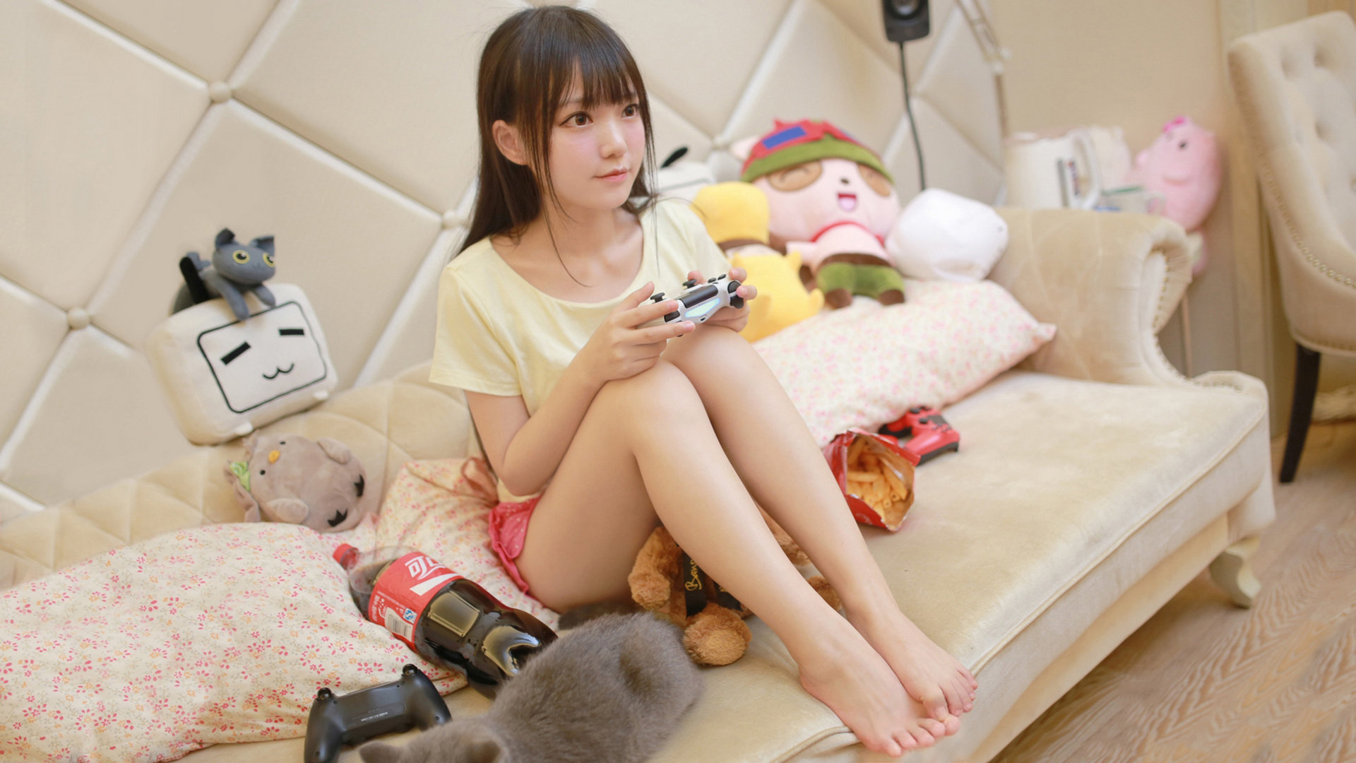 体育新闻中心通报各大省市训练基地运行情况，省级体育训练基地