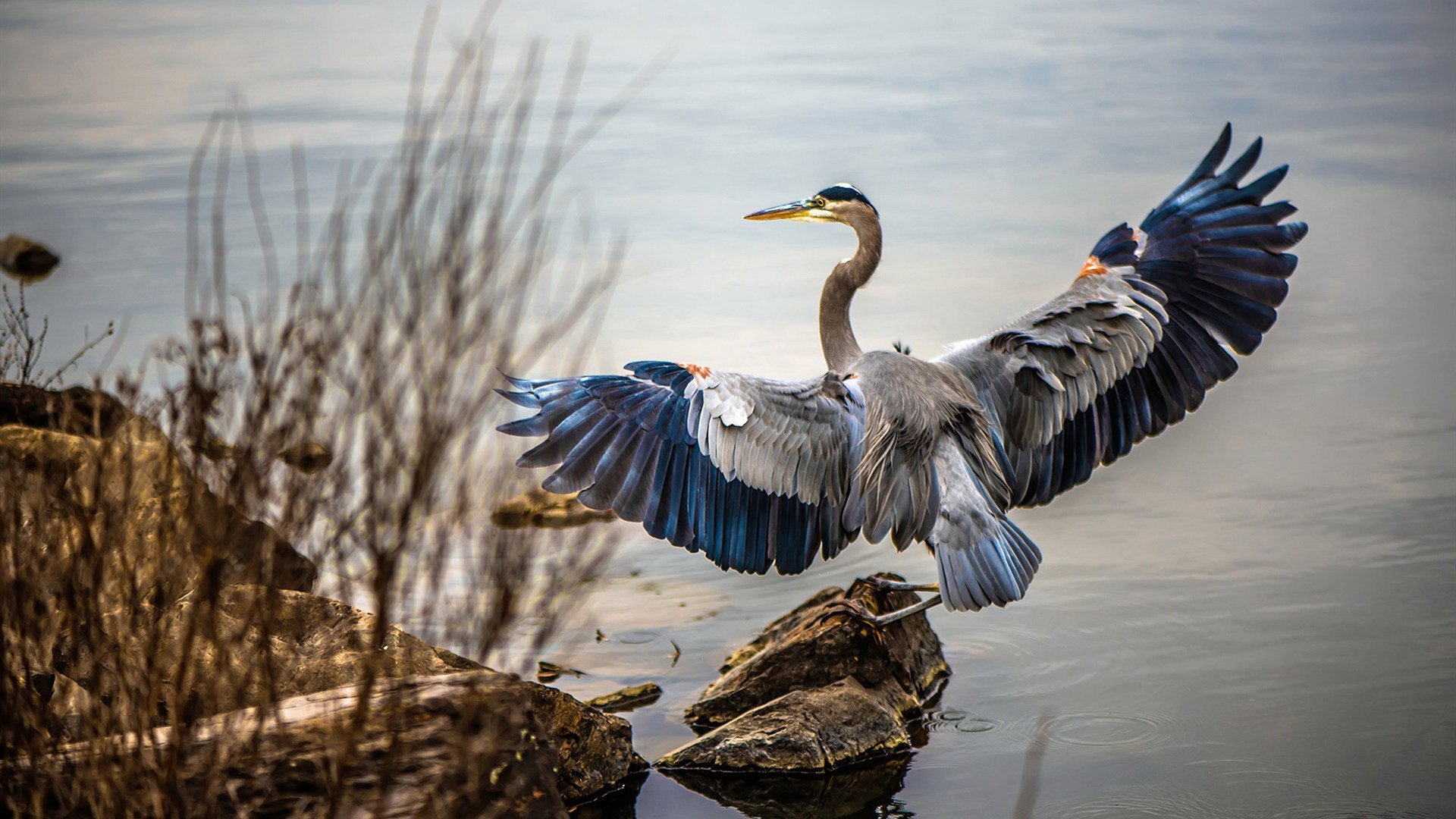 克洛普执教利物浦，为俱乐部注入新活力