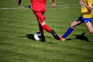 星空体育在线入口-国家女篮训练日程公开每日训练内容紧张高效，国家队女篮在哪里训练