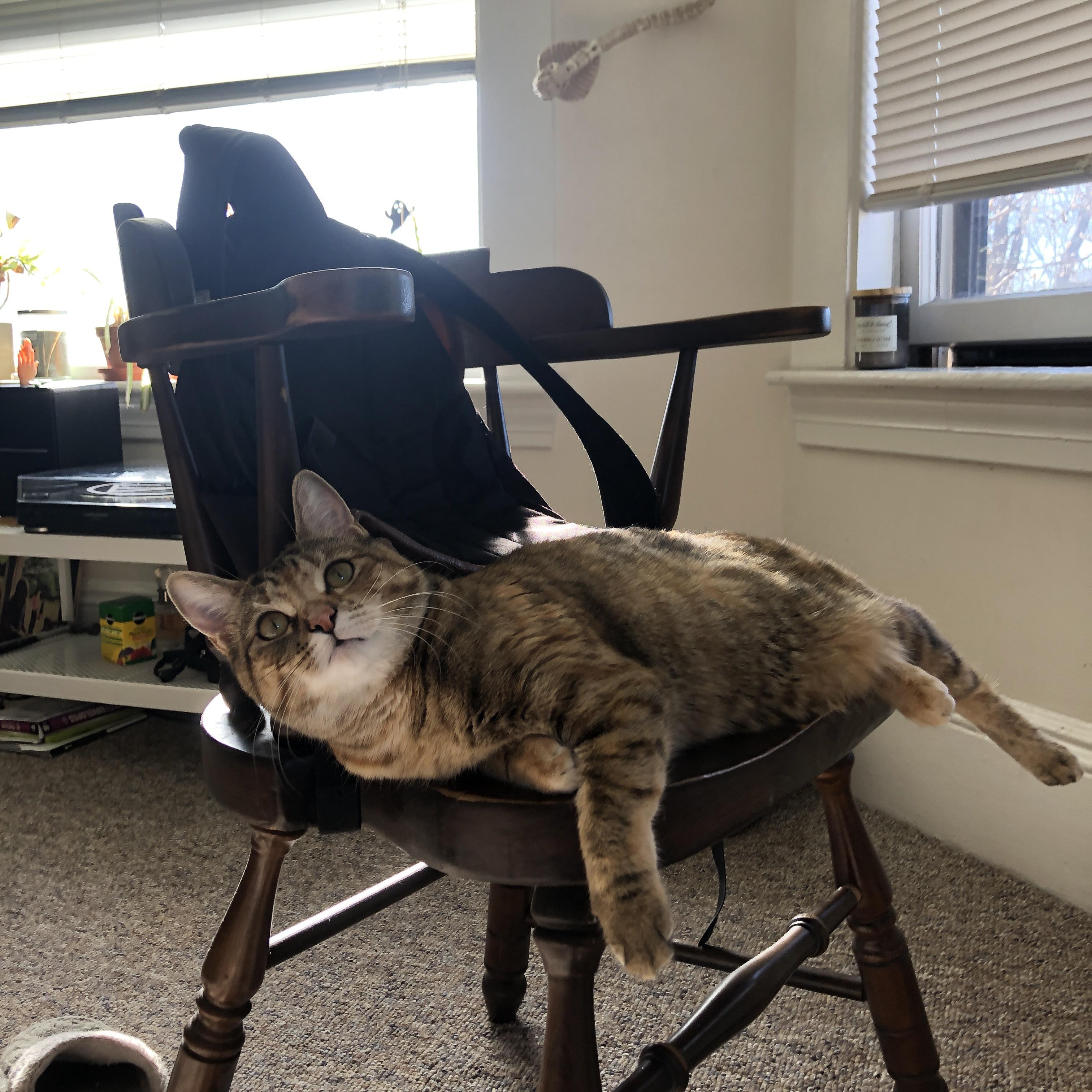 星空game官网-卡塔尔女篮在亚洲预赛中奋勇，迈向奥运